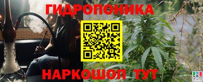 сатива Апшеронск