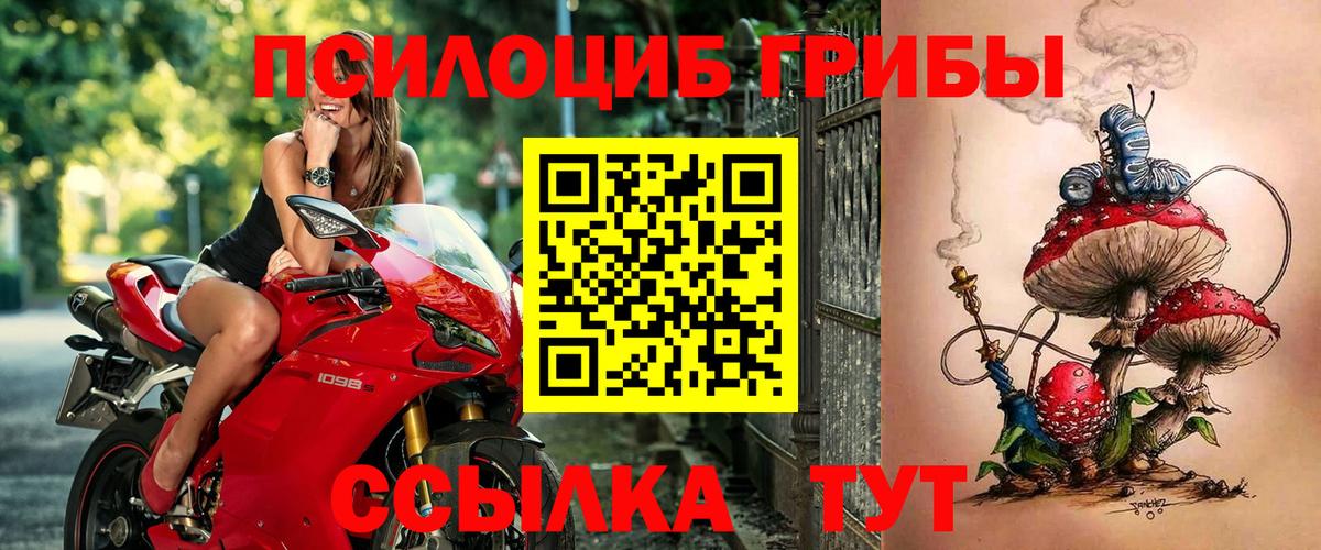 Галлюциногенные грибы MAGIC MUSHROOMS  Вход с VPN  Псилоцибиновые грибы Magic Shrooms  Выкса 